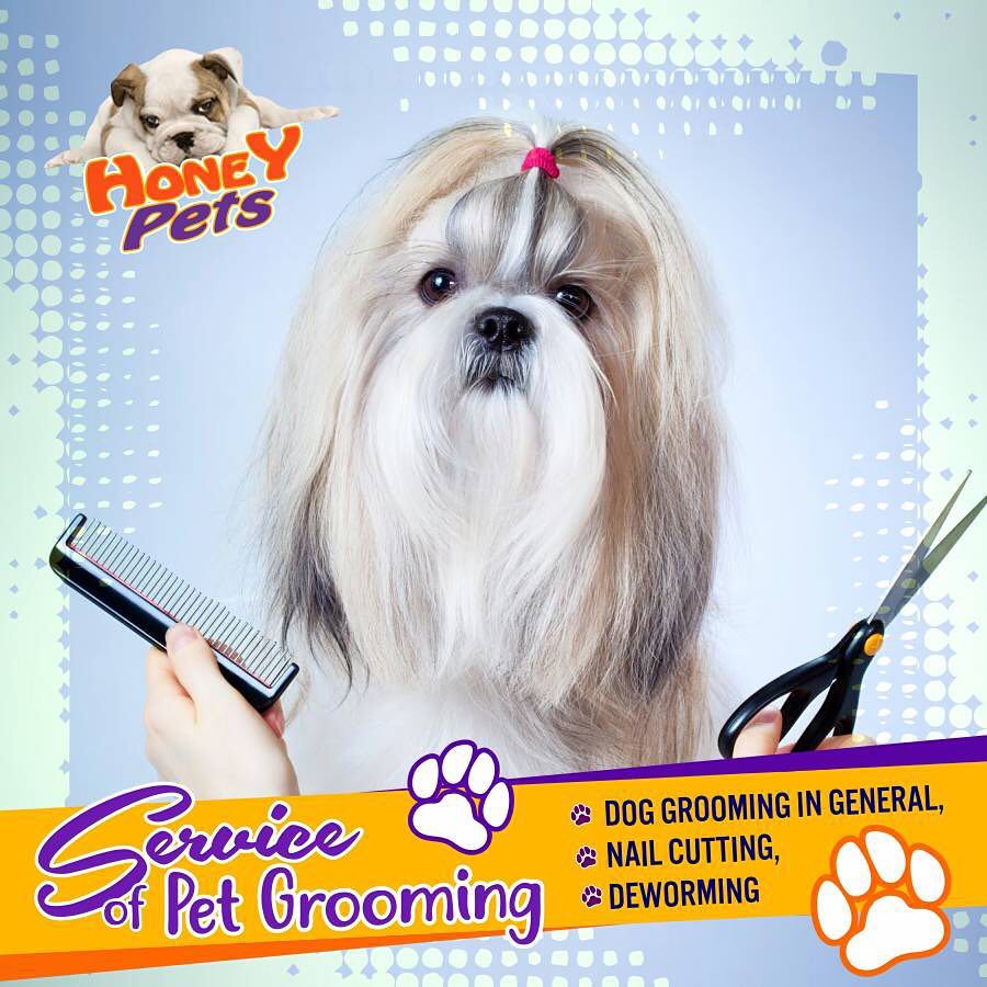 Honey pets best sale mobile grooming